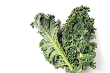 Organic healthy green Kale