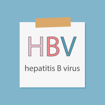 HBV Hepatitis B Virus written in a notebook paper- vector illustration