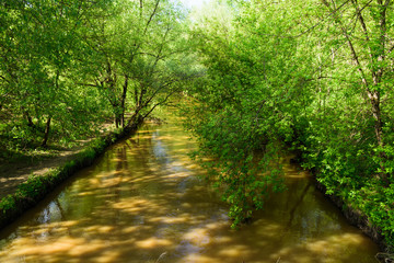 Old canal in the forest land - a romantic summer rural landscape