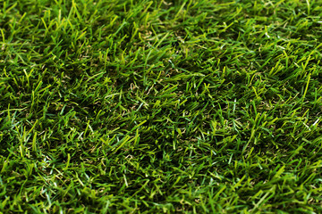 green and juicy grass, background
