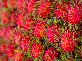 Rambutan