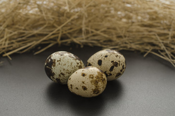 Obraz premium three quail eggs on a black background and hay background