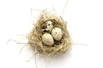 Naklejka na ściany i meble quail eggs in a nest isolated on white background