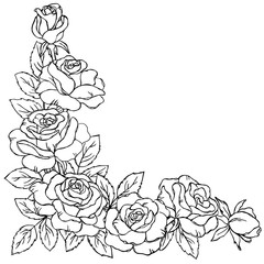vector contour rose flowers bud leaf branch coloring book pattern elements border frame