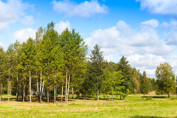 Obraz premium Rural Finnish landscape in summer day