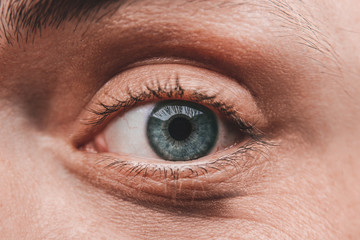 Fototapeta premium funny eyes close-up