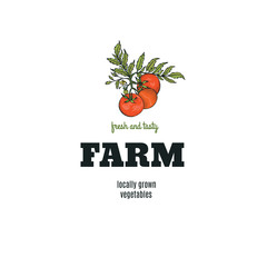 Obraz na płótnie Canvas Tomato vector illustration.Farm market product. Great for menu, label, icon.Organic eco vegetable food