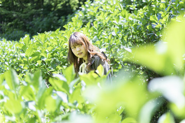 Obraz premium 草むらの女性