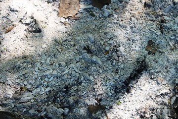 Grey ash from the fire