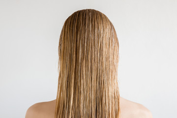 Wet, blonde, perfect woman's hair after shower on the gray background. Care about beautiful, healthy and clean hair. Beauty salon concept. Young girl's back view.