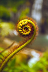nature details © YARphotographer