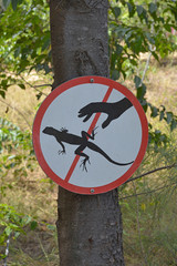 Fototapeta premium A sign in the Bong Lai or Suoi Tre Red Canyons near Mui Ne in south central Bình Thuan Province, Vietnam telling visitors not to touch the lizards 
