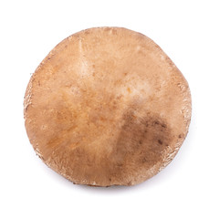 Portobello mushrooms isolated on a white background