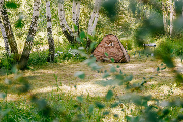 brown camping tent in summer birch forest