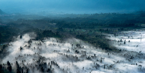 morning fog landscape panorama