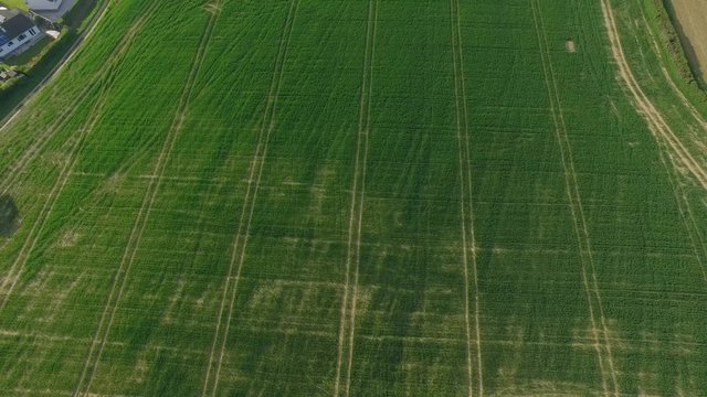 Aerial Shot Of Farm - Birds Eye View