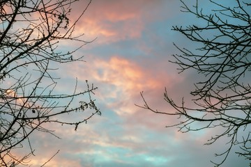 Dramatic sky at sunset in the woods