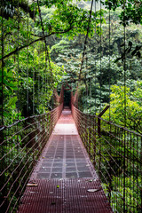 Hanging Bridge