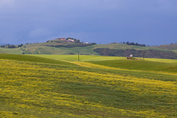 beautiful green summer landscape in Tuscany, Italy