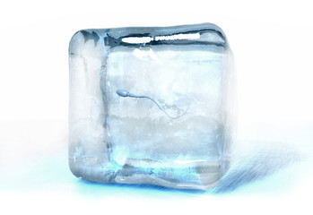 3d illustration of a sperm cell frozen into ice cube