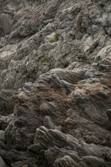 Fototapeta na wymiar 溶岩岩