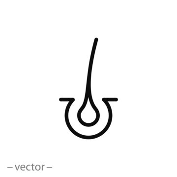 Hair Icon Vector