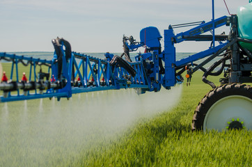 Agricultural sprayers, spray chemicals on young wheat.