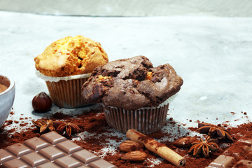 Chocolate muffin and nut muffin, homemade bakery on grey background