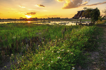 landscape of farmland in countryside at sunset