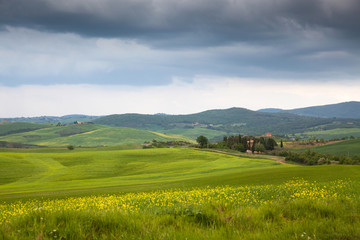 Fototapeta na wymiar beautiful green summer landscape in Tuscany, Italy