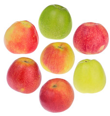 set of seven different apples on white