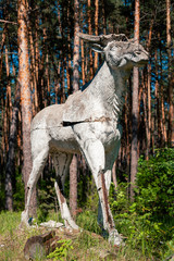 Naklejka premium Concrete installation of elk in abandoned soviet pioneer camp 