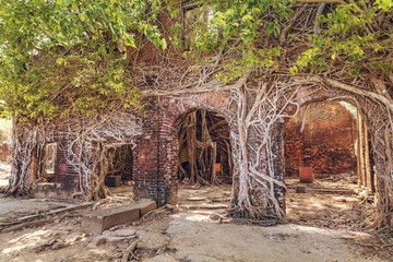 Ancient colonial building ruins at Ross island, Andaman, India.