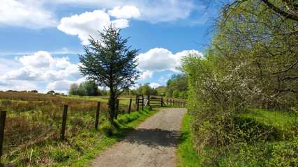 A rural path, bridle way, on a bright sunny day.
