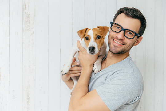Horizontal portrait of handsome cheerful man, wears eyeglasses, holds jack russell terrirer, has glad expression, poses against white wooden wall with blank copy space. Animals and friendship