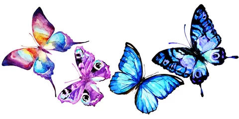 Fototapete Schmetterlinge schöne rosa blaue Schmetterlinge, Aquarell, isoliert auf einem weißen