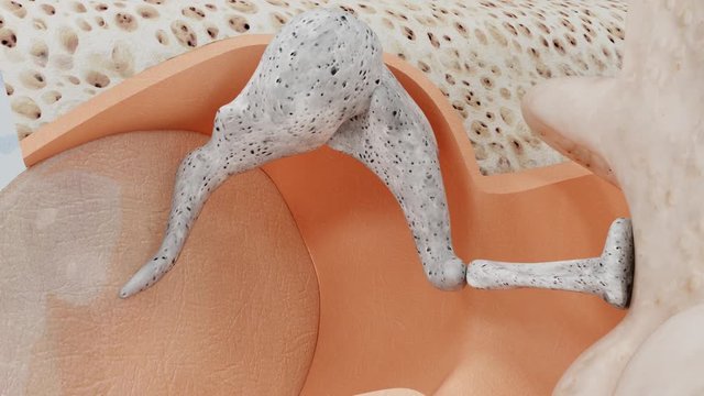 Sound waves affect the hearing membrane. Closeup.