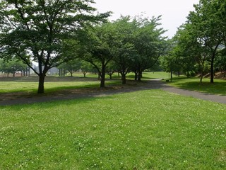 初夏の公園