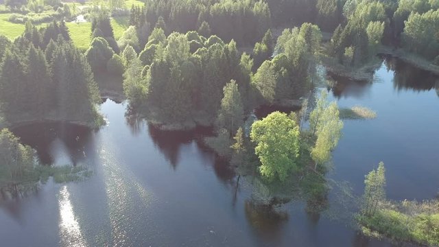 Drone fly above lake landscape with trees in spring time, aerial view