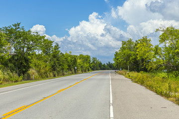 empty highway in america with trees and blue sky near New Orleans at Bayou de Lesaire