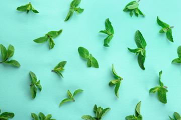 Flat lay composition with fresh mint leaves on color background