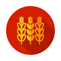 Spikelets and grains of wheat icon