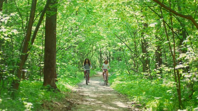 Sunny day in the forest two girls ride on the path on bicycles and communicate