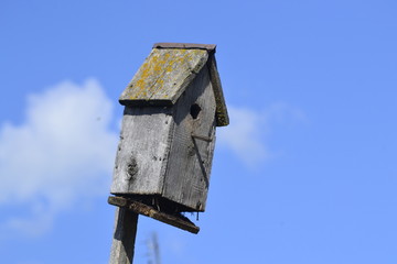 bird house