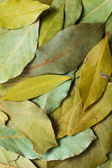 Close up background shot of Exotic herbal Food concept dry bay leaves