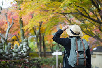 Tourist is traveling at Adashino Nenbutsuji  old temple in Kyoto Japan during Autumn.