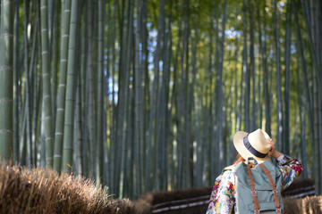 Tourist is traveling at Arashiyama Bamboo forest in Kyoyo, Japan.