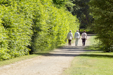 Drei Senioren gehen spazieren im Kurpark, Frühling