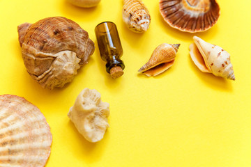 Tropical Background. Seashell and glass bottle on yellow colourful trendy modern fashion background. Vacation travel summer weekend sea adventure trip concept