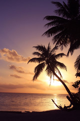 南の島のビーチで美しい夕日と夕焼け Beautiful Sunset in Tahiti paradise